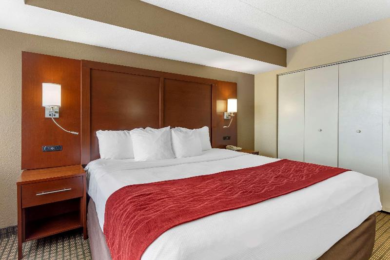 جناح سرير كينج, Comfort Inn & Suites Rochelle   Dekalb