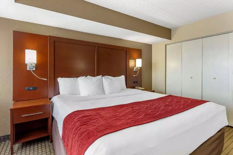 Sviitti King-vuode, Comfort Inn & Suites Rochelle   Dekalb