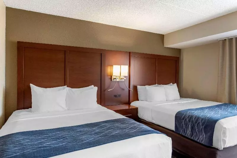 Sviitti King-vuode, Comfort Inn & Suites Rochelle   Dekalb