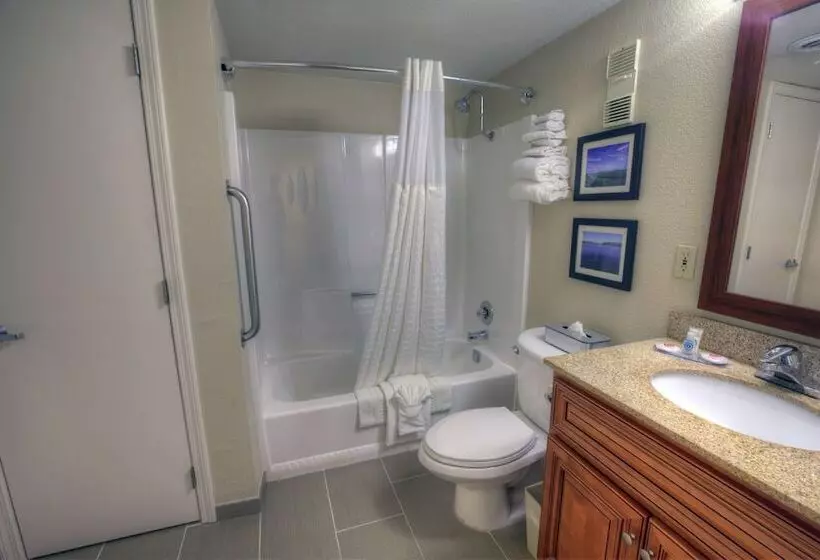 Sviitti, Comfort Inn & Suites Rochelle   Dekalb