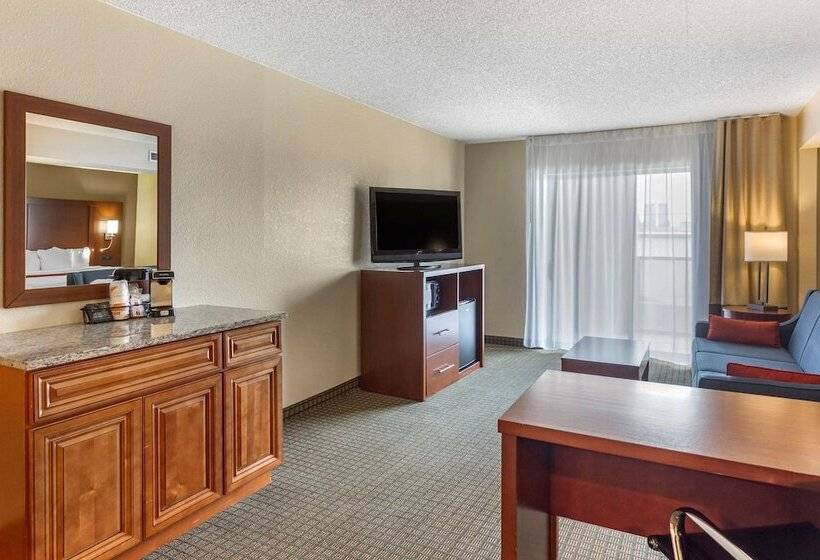 جناح, Comfort Inn & Suites Rochelle   Dekalb