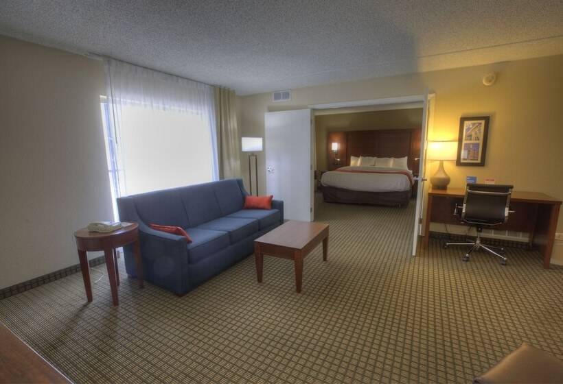 Люкс, Comfort Inn & Suites Rochelle   Dekalb