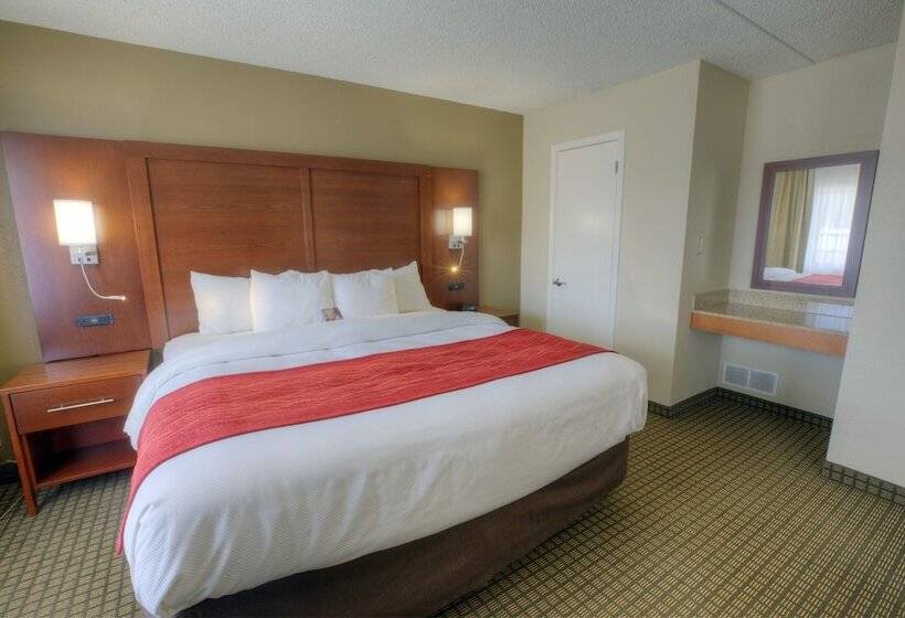 جناح, Comfort Inn & Suites Rochelle   Dekalb