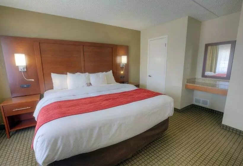 Sviitti, Comfort Inn & Suites Rochelle   Dekalb