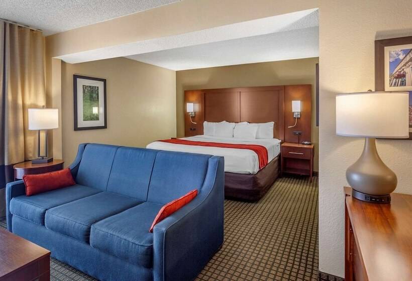 جناح, Comfort Inn & Suites Rochelle   Dekalb