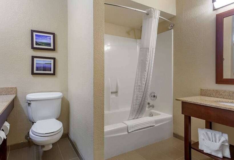 Номер Стандарт 2 Двуспальные Кровати, Comfort Inn & Suites Rochelle   Dekalb