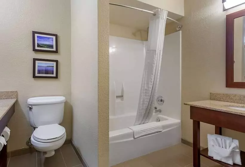 Standard-huone 2 Parivuodetta, Comfort Inn & Suites Rochelle   Dekalb