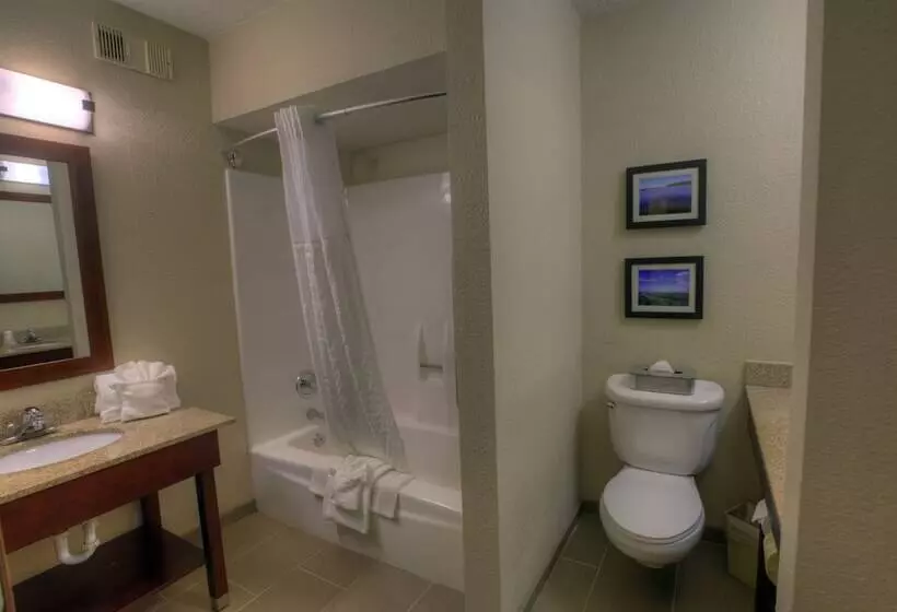 Standard-huone 2 Parivuodetta, Comfort Inn & Suites Rochelle   Dekalb
