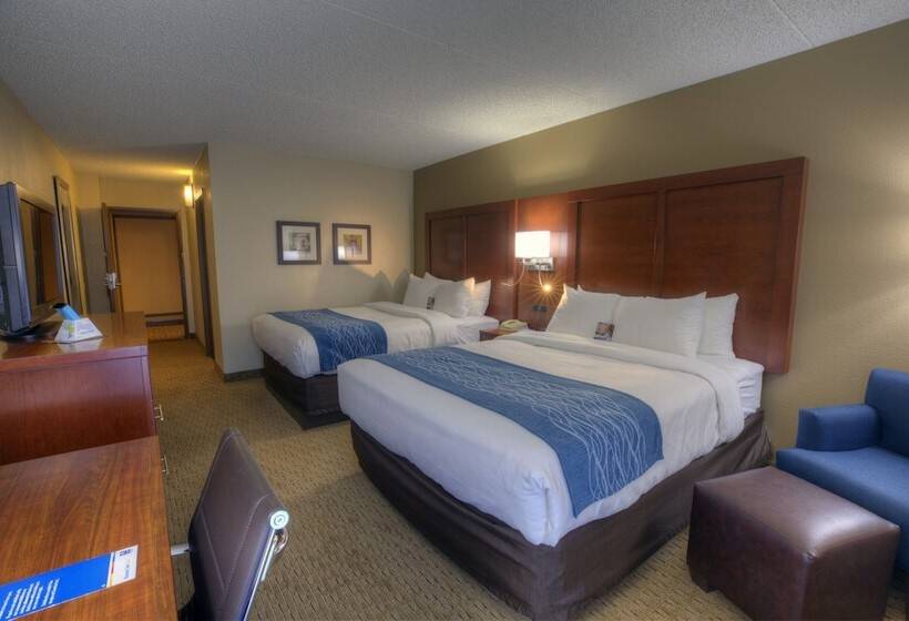غرفه قياسيه سريرين مزدوجين, Comfort Inn & Suites Rochelle   Dekalb