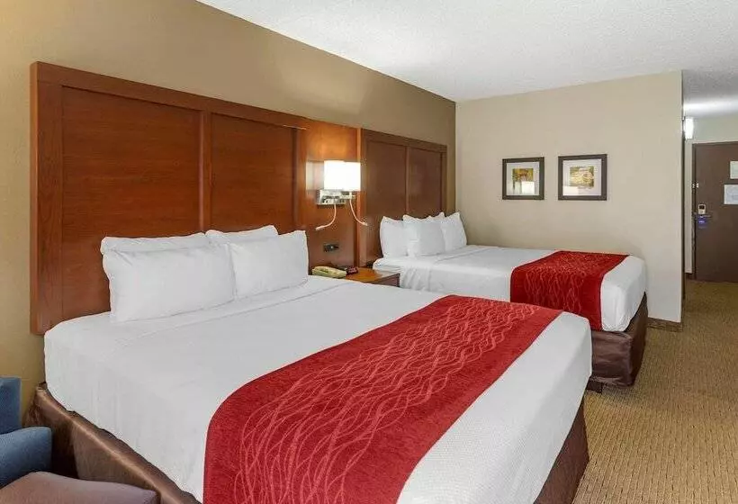 Standard-huone 2 Parivuodetta, Comfort Inn & Suites Rochelle   Dekalb