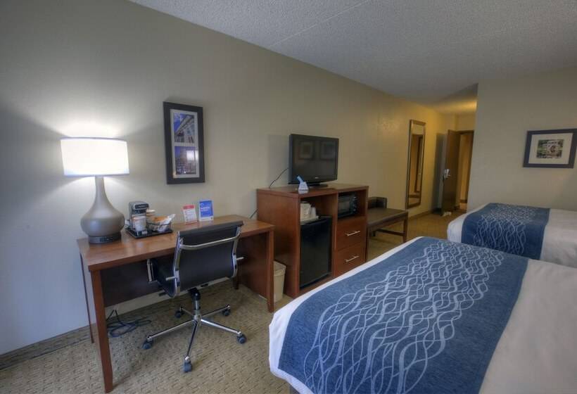 غرفه قياسيه سريرين مزدوجين, Comfort Inn & Suites Rochelle   Dekalb