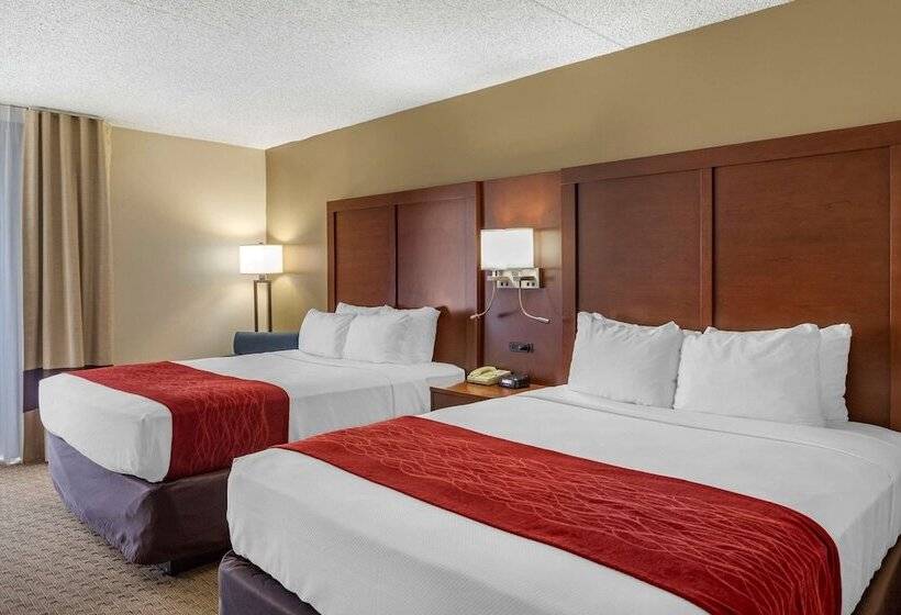غرفه قياسيه سريرين مزدوجين, Comfort Inn & Suites Rochelle   Dekalb
