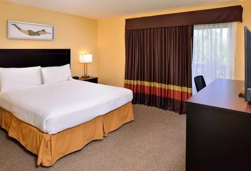ダブルベッドスタンダードルーム, Dana Point Marina Inn