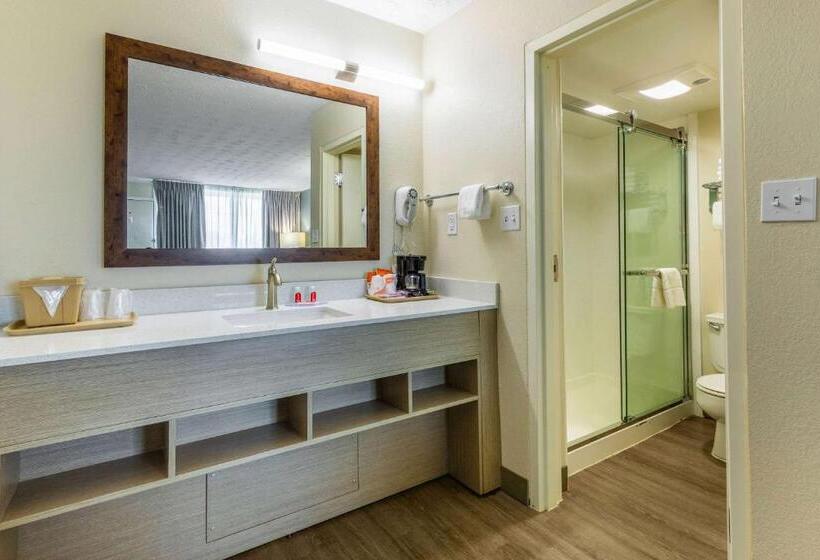 2ダブルベッドのスタンダードルーム, Econo Lodge Middlesboro