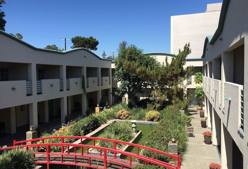 スタンダードルーム, Mikado