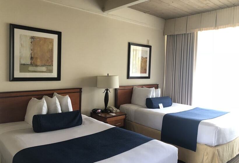 スタンダードルーム, Mikado