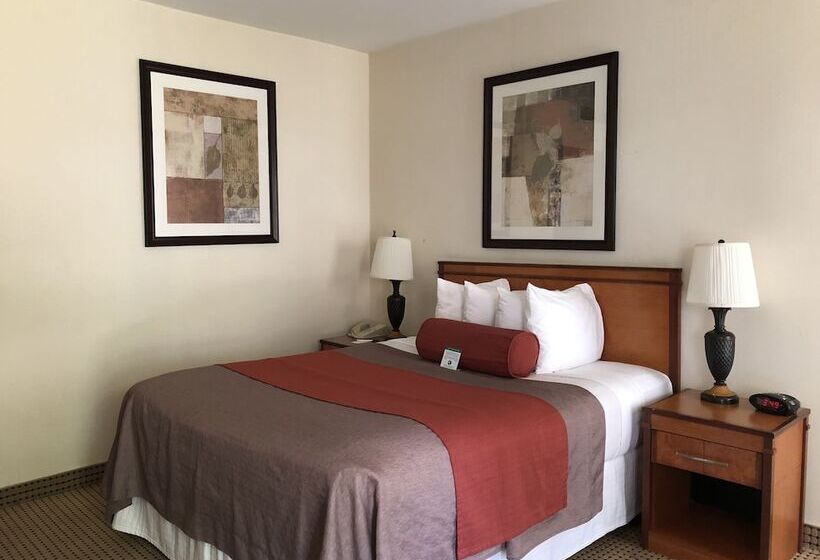 スイート, Mikado