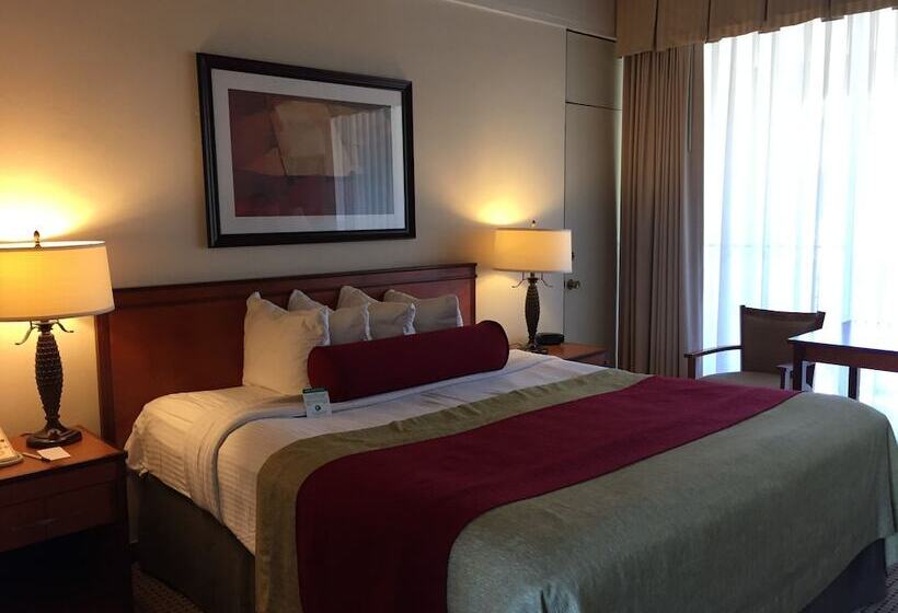 スイート, Mikado