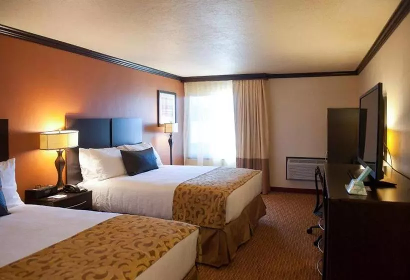 スタンダードルーム, Park Inn By Radisson Salt Lake Citymidvale