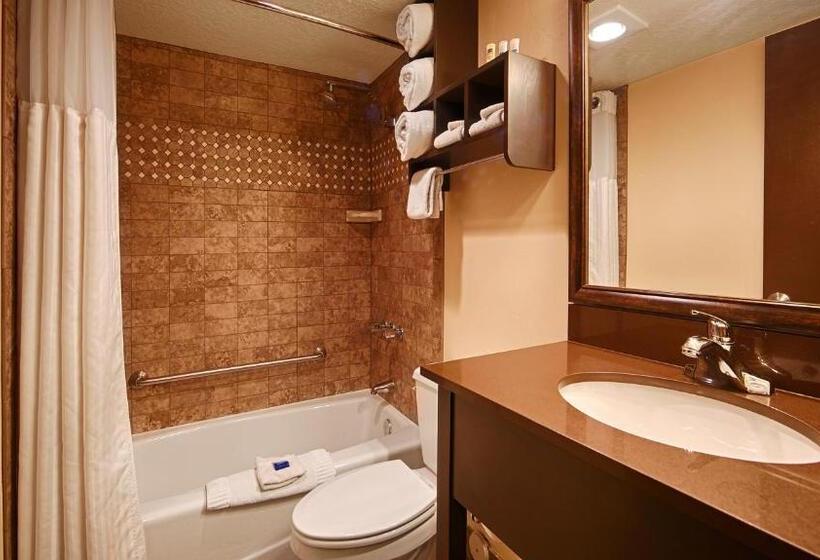 带大床的标准间, Park Inn By Radisson Salt Lake Citymidvale