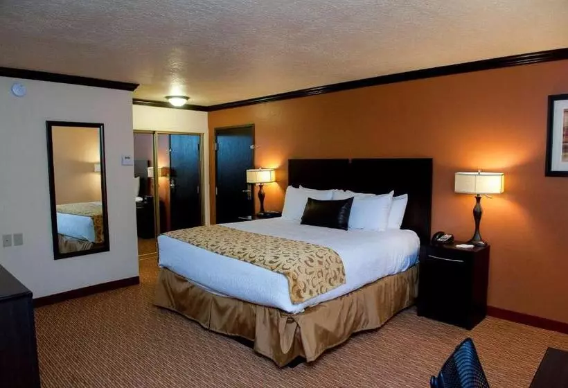 キングサイズベッドのスタンダードルーム, Park Inn By Radisson Salt Lake Citymidvale