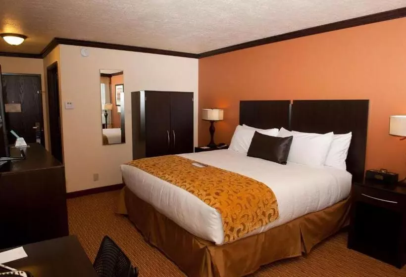キングサイズベッドのスタンダードルーム, Park Inn By Radisson Salt Lake Citymidvale