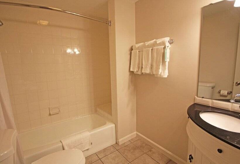 Номер Стандарт 2 Двуспальные Кровати, Park View Inn