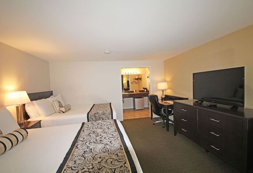 Номер Стандарт 2 Двуспальные Кровати, Park View Inn