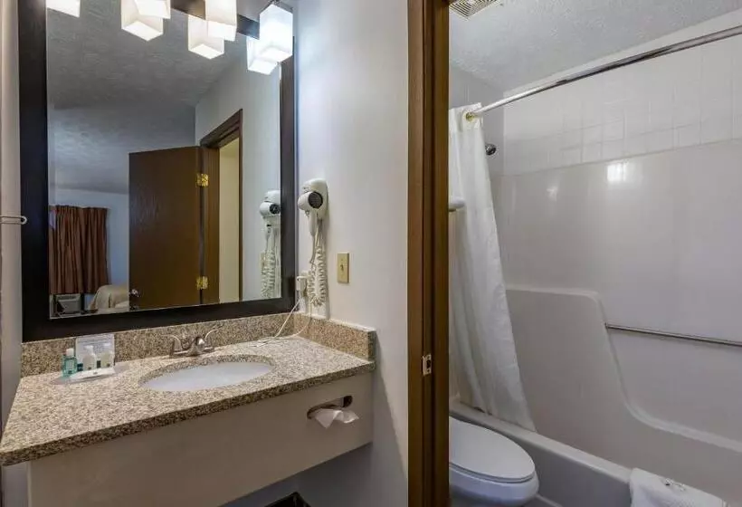 اتاق استاندارد, Quality Inn Austintown Youngstown West