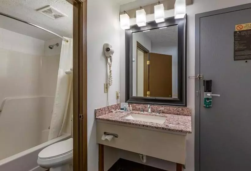 اتاق استاندارد با تخت بزرگ, Quality Inn Austintown Youngstown West