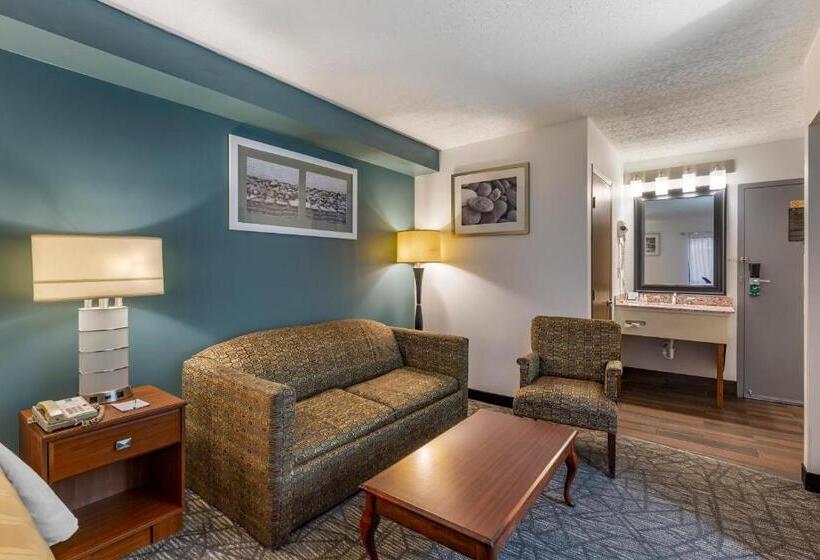 غرفة قياسية سرير كينج, Quality Inn Austintown Youngstown West