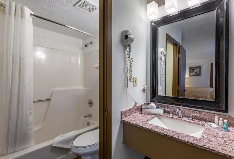 غرفة قياسية سرير كينج, Quality Inn Austintown Youngstown West