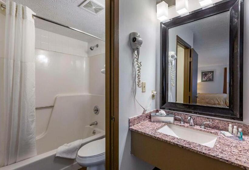 غرفة قياسية سرير كينج, Quality Inn Austintown Youngstown West