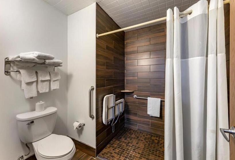 غرفة قياسية لذوى الاحتياجات الخاصة, Quality Inn Austintown Youngstown West