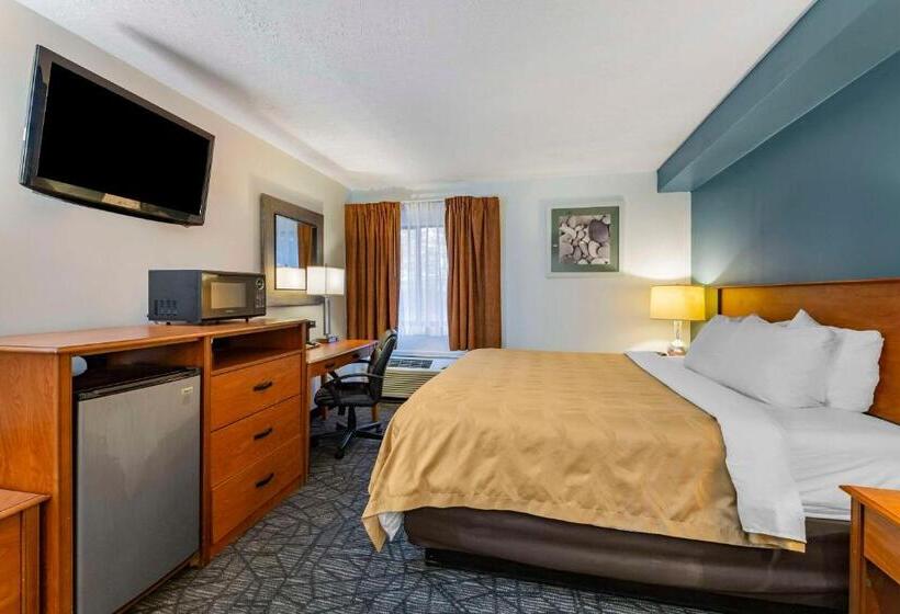 غرفة قياسية سرير كينج, Quality Inn Austintown Youngstown West