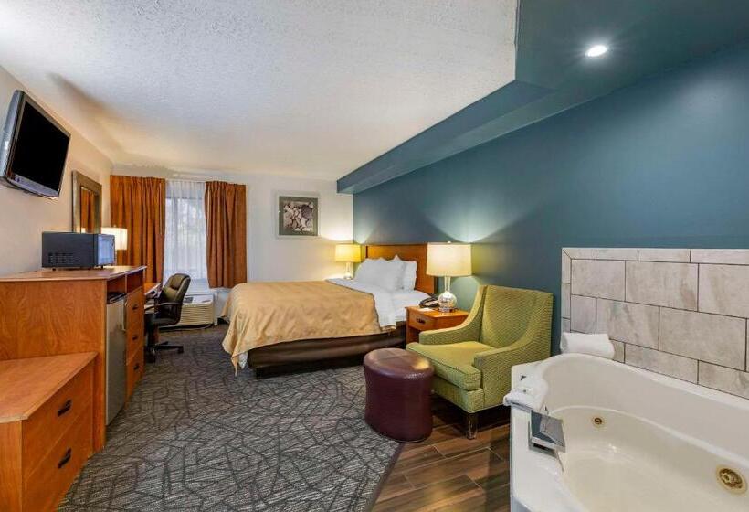 غرفة قياسية سرير كينج, Quality Inn Austintown Youngstown West