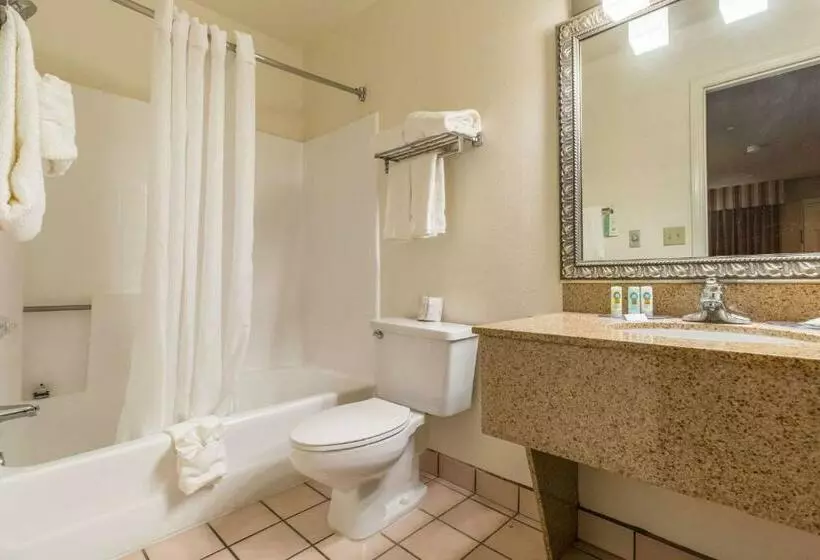 キングサイズベッドのスタンダードルーム, Quality Inn Casa Grande I 10