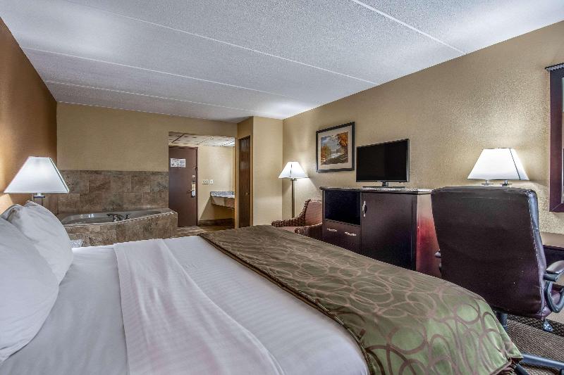 חדר סטנדרט עם מיטת קינג, Quality Inn Tully I 81