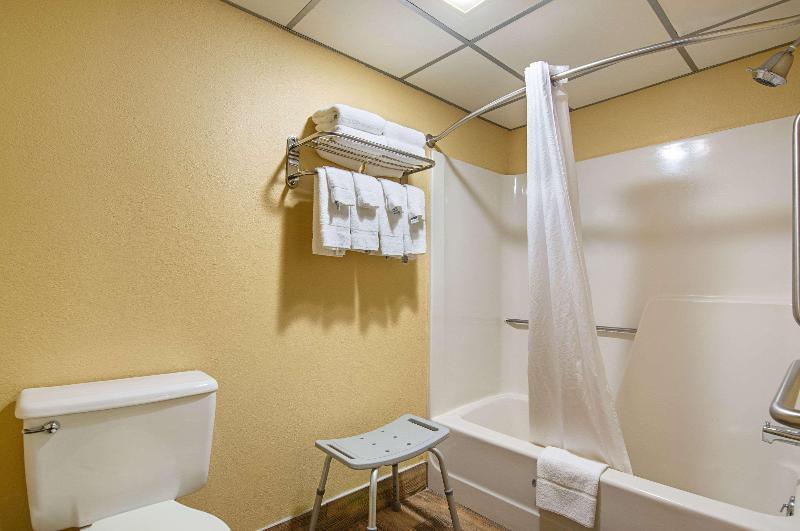 חדר סטנדרט, Quality Inn Tully I 81