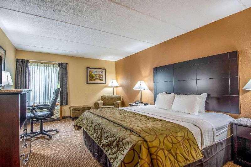 חדר סטנדרט, Quality Inn Tully I 81