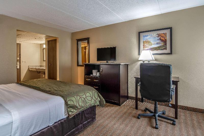 חדר סטנדרט, Quality Inn Tully I 81