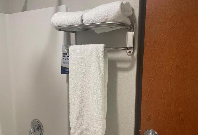 غرفة قياسية, Microtel Inn & Suites By Wyndham Liberty Ne Kansas City Area