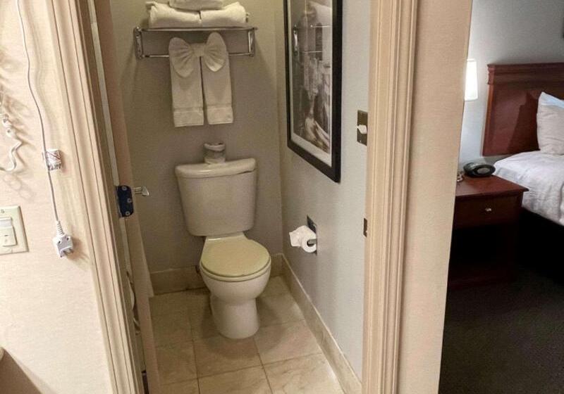 Номер Стандарт Адаптированный для Инвалидов, Surestay Plus Hotel By Best Western Mountain View