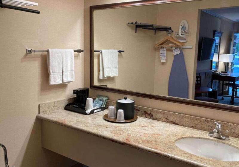 Номер Стандарт Адаптированный для Инвалидов, Surestay Plus Hotel By Best Western Mountain View