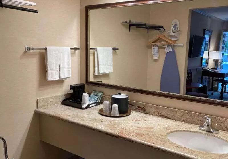 اتاق استاندارد برای معلولان, Surestay Plus Hotel By Best Western Mountain View