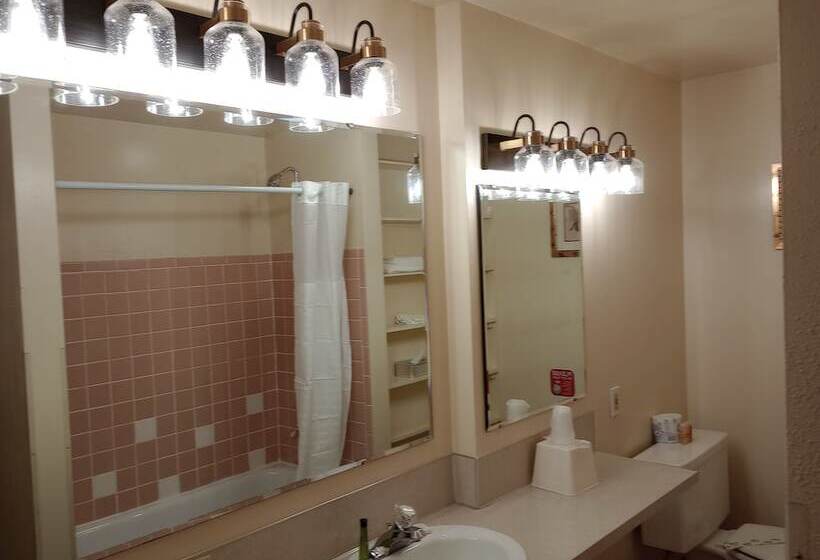 豪华房间, Cocusa Motel