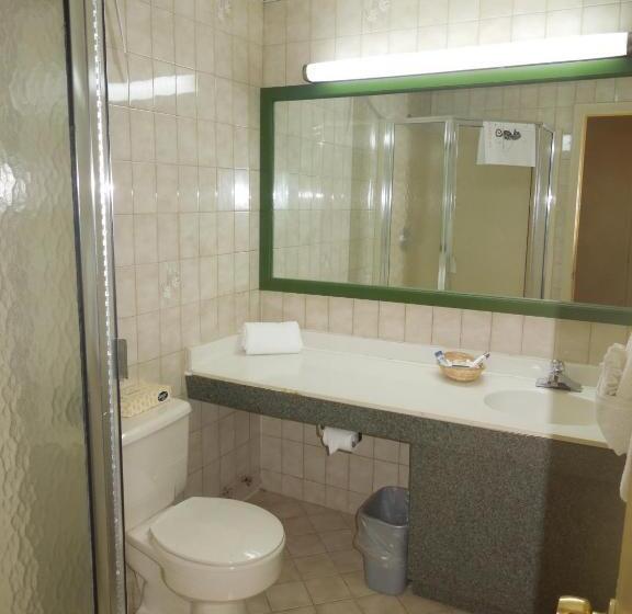 غرفة قياسية سرير كينج, Bay Shore Inn