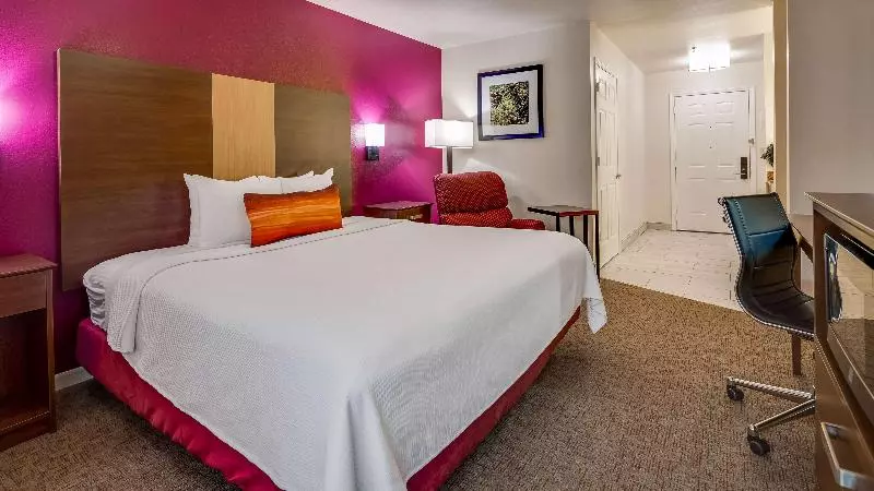 Standard-huone King-vuode, Best Western Pineywoods Inn