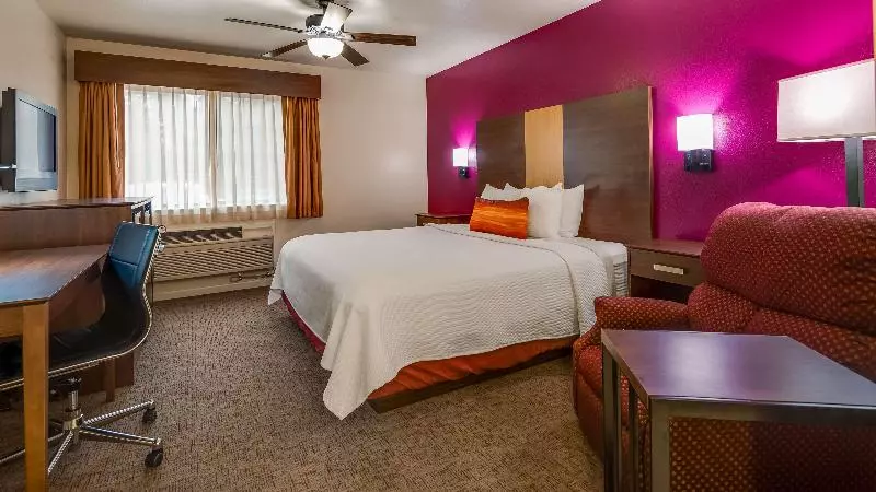 Standard-huone King-vuode, Best Western Pineywoods Inn