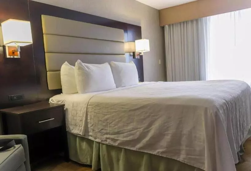キングサイズベッドのスタンダードルーム, Best Western Plus Silverdale Beach